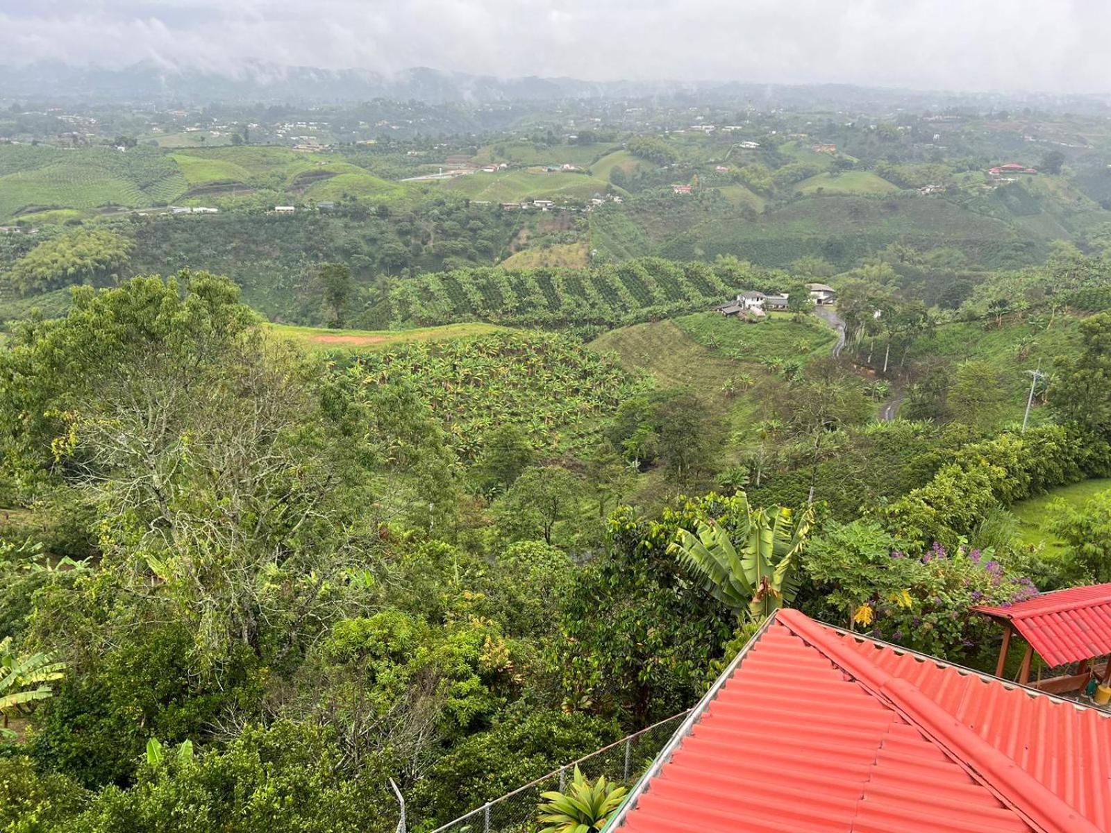 Hotel Eco La Selecta Pereira 3*